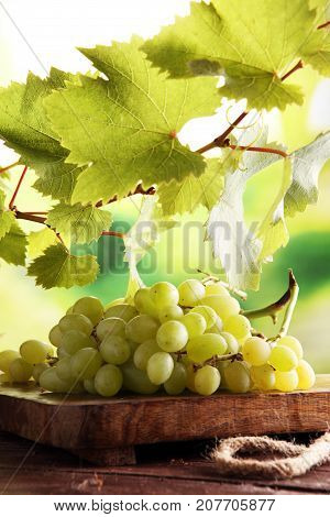 Grapes on wooden table and grape leaves . Healthy fresh fruit wine grapes.