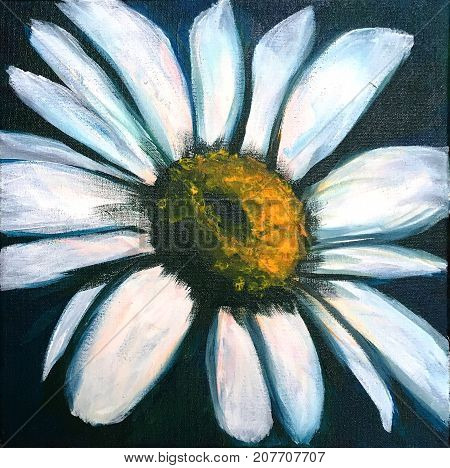 Acrylic Painting on canvas of white daisy on dark background