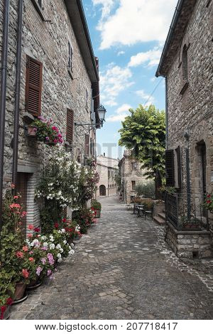 Frontino historic village in Montefeltro Pesaro Urbino Marches Italy). A street with the typical houses with plants and flowers