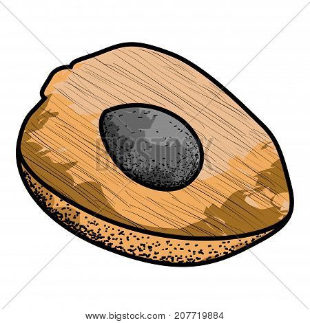 Isolated Vintage Chontaduro