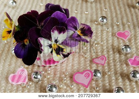 Valentine's Day. Pansies with hearts and ribbons