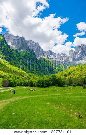 Scenic Green Meadow On The Background Of High Peaked Rocks.