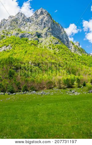 Scenic Green Meadow On The Background Of High Peaked Rocks.