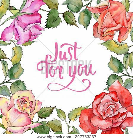 Wildflower rose flower frame in a watercolor style. Full name of the plant: rose. Aquarelle wild flower for background, texture, wrapper pattern, frame or border.