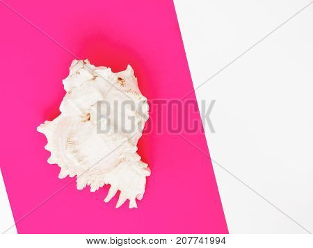 Minimal Style. Flat Lay. A Minimalistic Fashion Photo. Pop Art. A Colorful Simple Photograph Of Sea