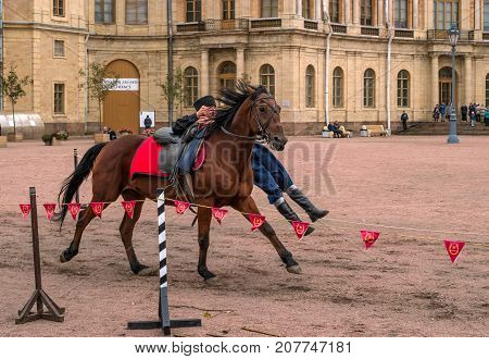 Gatchina St. Petersburg Russia - September 30 2017: Horse show of Cossacks on the parade ground of the Gatchina Palace. The young Cossack performs tricks on the horse.