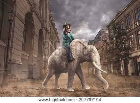 Beautiful woman rides elephant in the city.