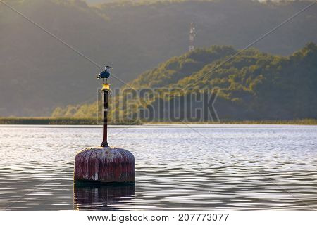 A bird sits on a buoy on the Skadar Lake. Montenegro. Photo taken at Skadar Lake Podgorica region.