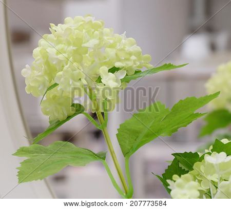 Yellow Artificial Lantana Wild Sage Cloth of Gold or Lantana Camara Flowers in White Metal Pots for Home and Office Decoration without The Care.