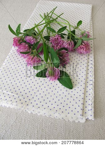 Bouquet of wild herbs red clover with flowers