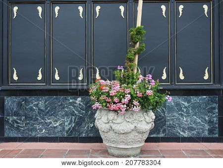 Flower pots with full color flowers decorate the front of the house