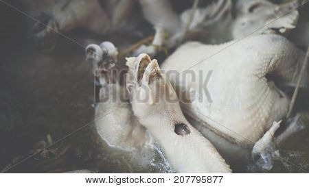 Rice Steamed With Chicken Soup At Street Food