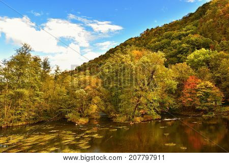 Beautiful Autumn Landscape With River And Colorful Trees In A Forest At Sunset. Thaya Valley Nationa