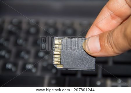 Hand Holding Sd Card On Laptop Background