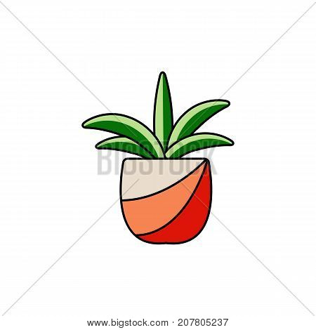 House plant with big leaves. Line flat icon of succulent in pot. Indoor flower isolated vector illustration.