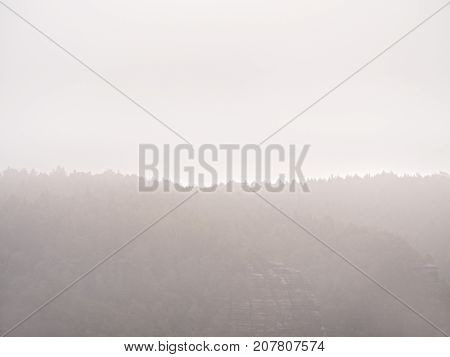 Fairy Daybreak In Silent Landscape.the Thick Fog Is Swinging Between Hill Sides And Strip Over Trees