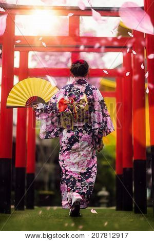 Japan lady in kimono walk in the temple with sun light and Sakura flower background Japan travel kimoni woman lady sakura concept