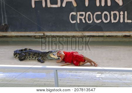 Prachuap Khiri Khan THAILAND - May 10 2017 Editorail use only;Show big crocodile on the floor in the zoo