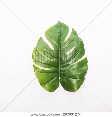 Green Tropical, Palm Leaves, Leaf Branches On White Background. Flat Lay, Top View