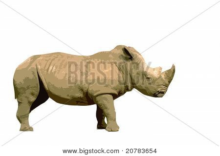 Ritaglio di Rhino