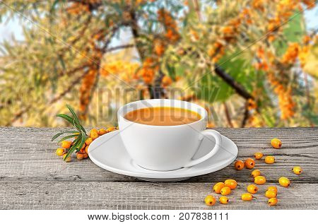Tea of seabuckthorn berries on wooden table blurred garden background