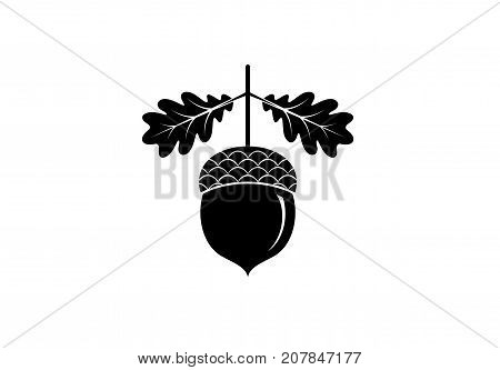 Acorn icon or logo in modern line style. Vector illustration on a white background