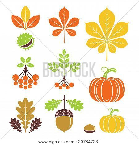 Autumn icons or logo in modern line style. Vector illustration on a white background