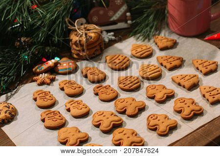 Festive background of Christmas bakery. Homemade gingerbread cookies on cooking sheet near pine branch decoration on wooden table, close up. Family celebration and New Year traditions concept