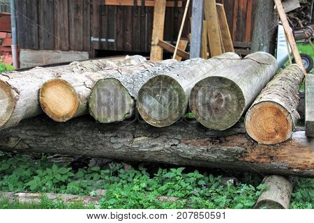 wooden tree trunks in front of a barn