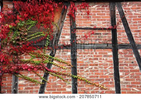 Truss house in Germany with red autumn leaves