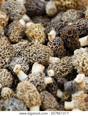 Dried Morcheln mushroom sold on the market