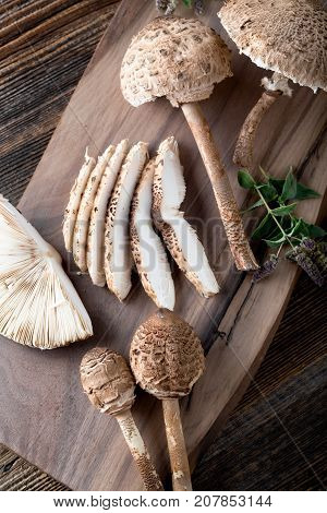 Macrolepiota Procera Is A Very Tasty Edible Mushroom