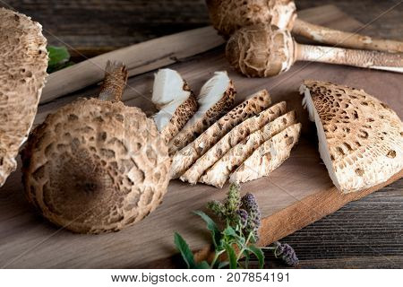 Macrolepiota Procera Is A Very Tasty Edible Mushroom