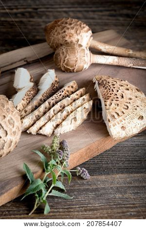 Macrolepiota Procera Is A Very Tasty Edible Mushroom