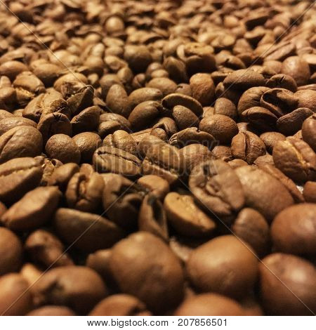 roasted beans of arabica variety scattered on the table