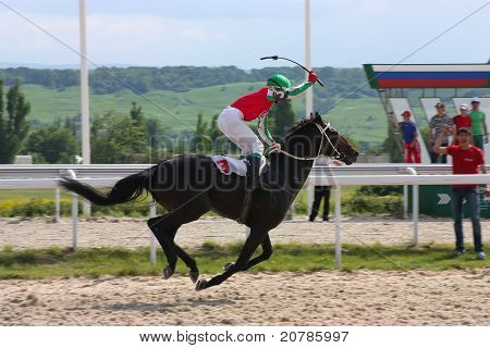 Courses de chevaux.