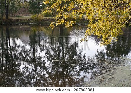Autumn Rechka Psel - will be an excellent gadget screensaver