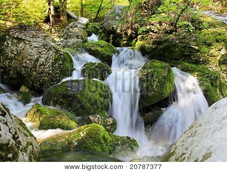 waterfall in the woods