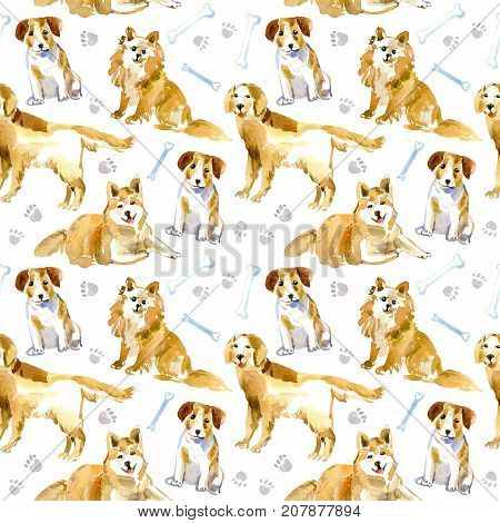 Seamless pattern of a dog, paw and bone.Labrador,Jack Russell Terrier and husky.Domestic pet.Watercolor hand drawn illustration.White background.