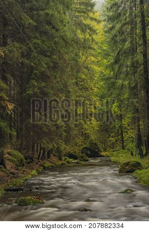 Chribska Kamenice river in national park Ceske Svycarsko in autumn morning