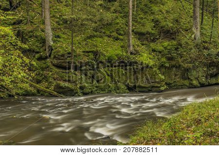 Chribska Kamenice river in national park Ceske Svycarsko in autumn morning