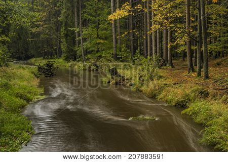 Chribska Kamenice river in national park Ceske Svycarsko in autumn morning