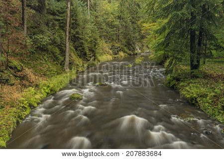 Chribska Kamenice river in national park Ceske Svycarsko in autumn morning