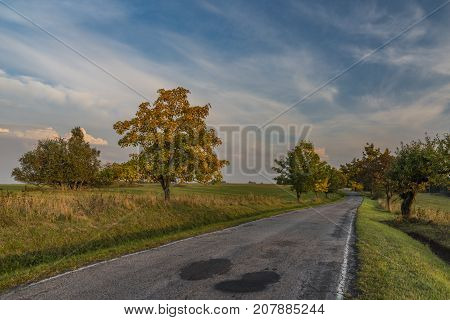 Color evening with road in Slavkovsky les national park in autumn time