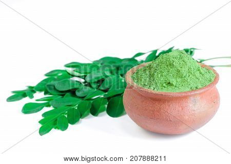 Moringa Leaves with fresh leaves isolated on white selective focus
