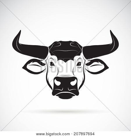 Vector of a bull head on a white background. Wild Animals.