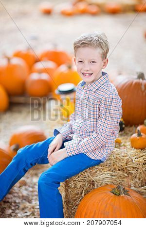 cheerful positive boy enjoying autumn time at pumpkin patch