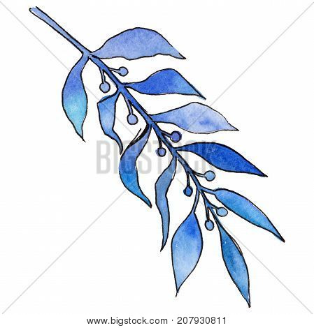 Tropical Hawaii leaves in a watercolor style isolated. Aquarelle wild flower for background, texture, wrapper pattern, frame or border.