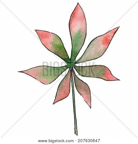 Tropical Hawaii leaves in a watercolor style isolated. Aquarelle wild flower for background, texture, wrapper pattern, frame or border.