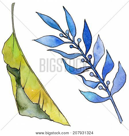 Tropical Hawaii leaves in a watercolor style isolated. Aquarelle wild flower for background, texture, wrapper pattern, frame or border.